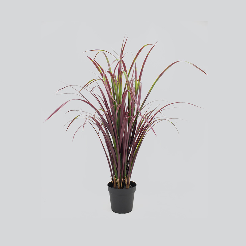 33" Lemongrass